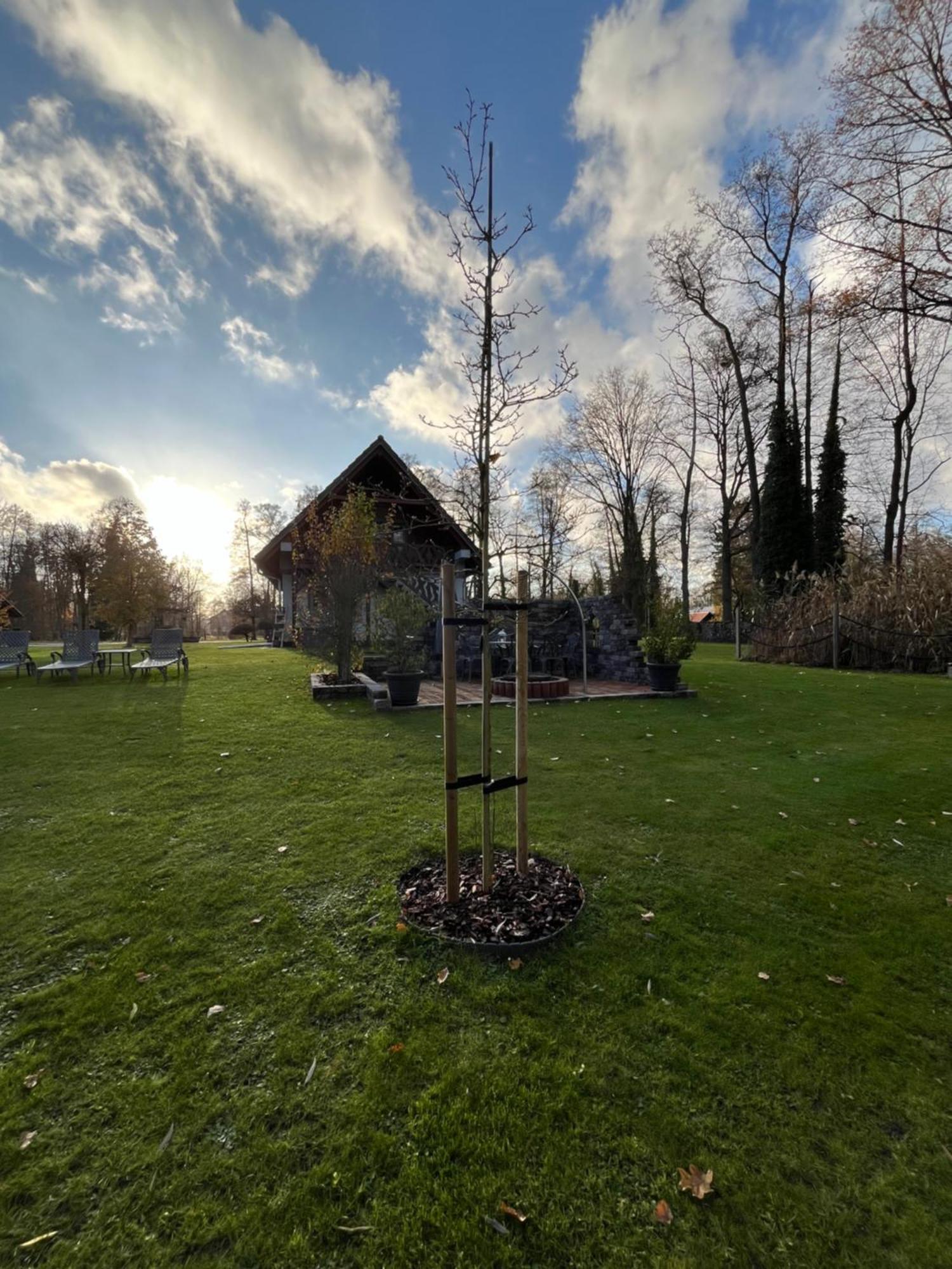 Ferienwohnungen Ast Burg  Esterno foto